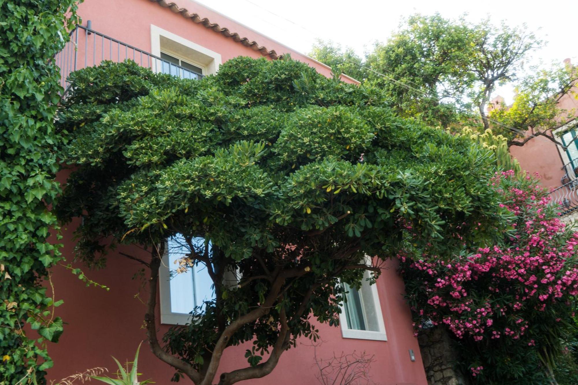 Ferienwohnung The Charming House Taormina Exterior foto